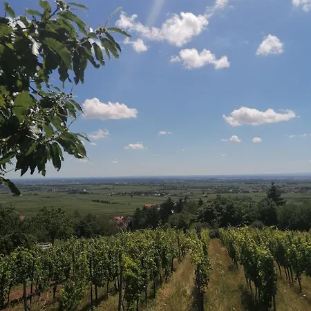 Weinstrassenblick Mit Fasssauna Burrweiler